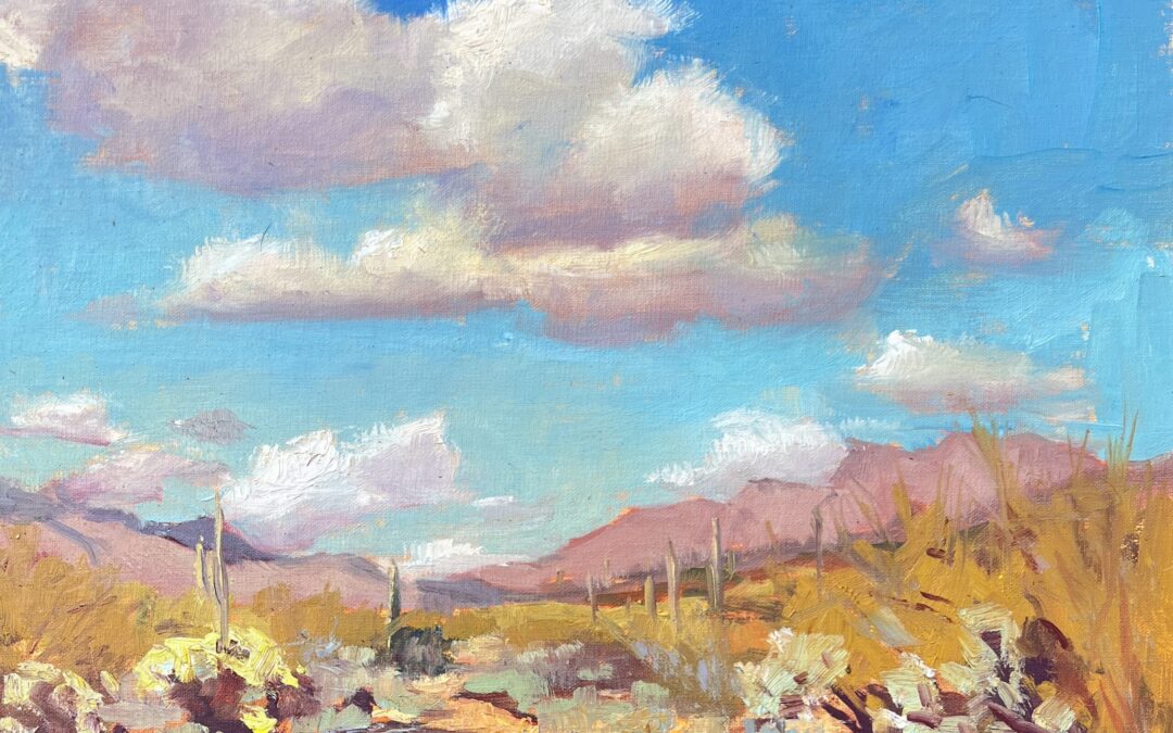Barbara A Mulleneaux: Paint Tucson Treasures Workshop